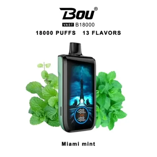 vaper desechable bou vast 18000 puffs miami mint 0mg